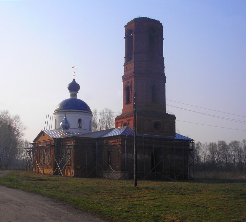 Церковь Покрова Пресвятой Богородицы, Бурминка (Александро-Невский район, Рязанская область). общий вид в ландшафте