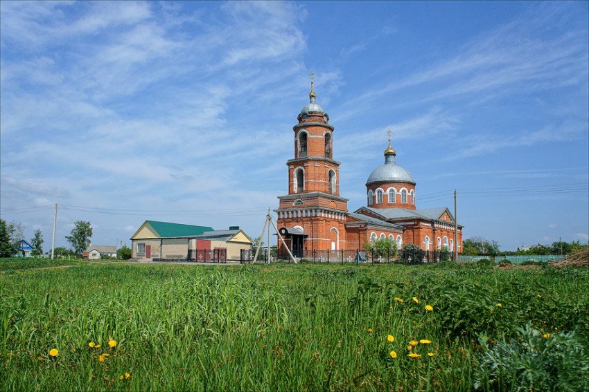 Церковь Николая Чудотворца, Плеханово (Грязинский район, Липецкая область). общий вид в ландшафте