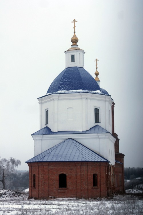 Петровское. Церковь Михаила Архангела. общий вид в ландшафте