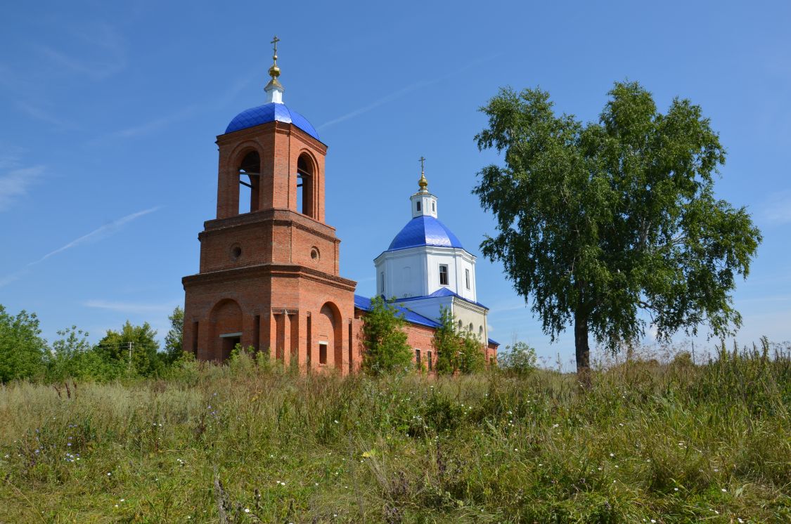 Церковь Михаила Архангела, Петровское (Измалковский район, Липецкая область). общий вид в ландшафте