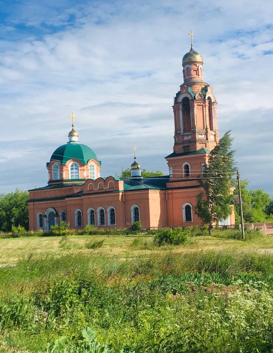 Церковь Троицы Живоначальной, Малинки (Данковский район, Липецкая область). фасады