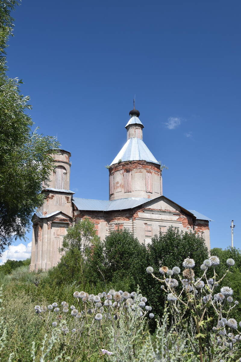 Церковь Вознесения Господня, Скородное (Данковский район, Липецкая область). фасады