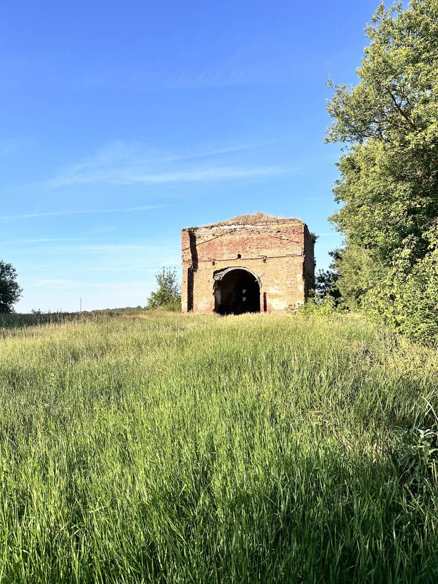 Церковь Покрова Пресвятой Богородицы, Сафоново (Добринский район, Липецкая область). общий вид в ландшафте