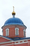 Церковь Михаила Архангела, купол<br>, Чечёры, Добровский район, Липецкая область