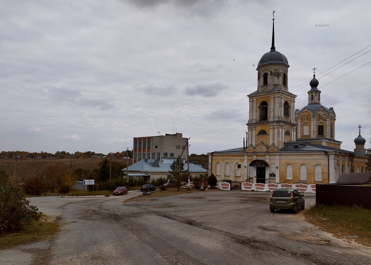Церковь Казанской иконы Божией Матери, Воронец (Елецкий район и г. Елец, Липецкая область). общий вид в ландшафте