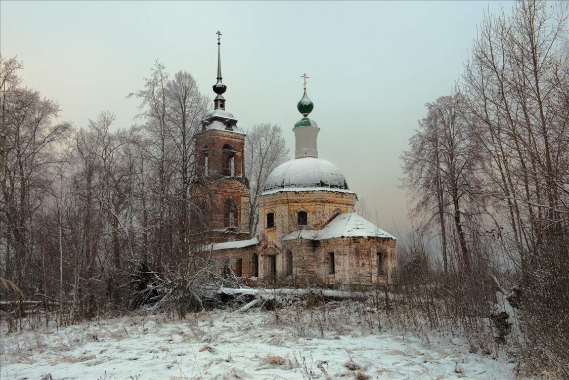 Павлухино. Церковь Троицы Живоначальной. общий вид в ландшафте