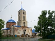 Церковь Рождества Пресвятой Богородицы - Доброе - Добровский район - Липецкая область