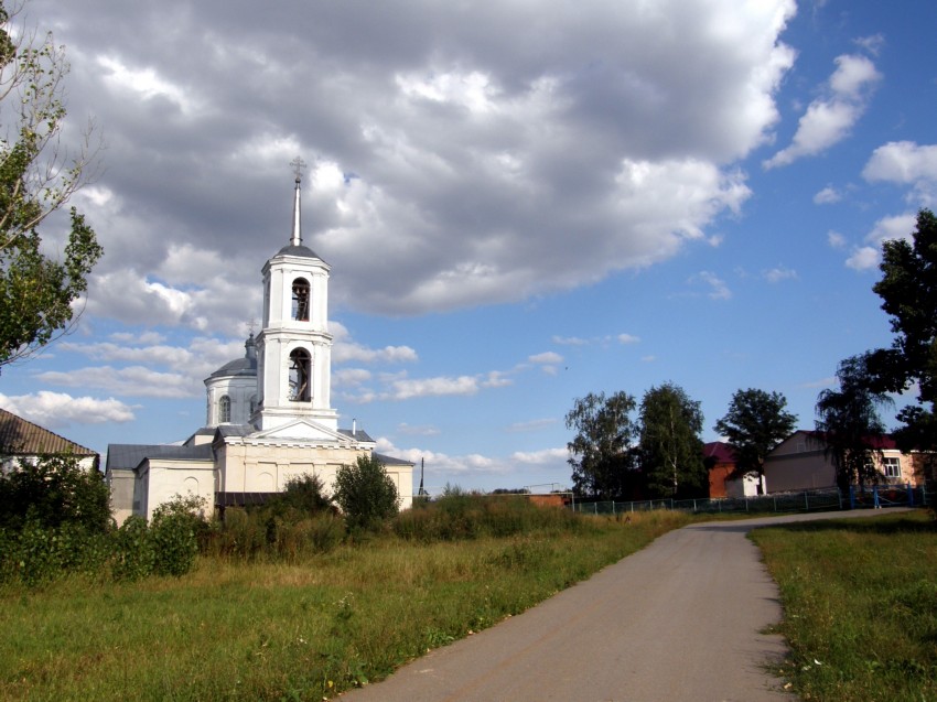 Церковь Троицы Живоначальной, Гнилуша (Задонский район, Липецкая область). общий вид в ландшафте