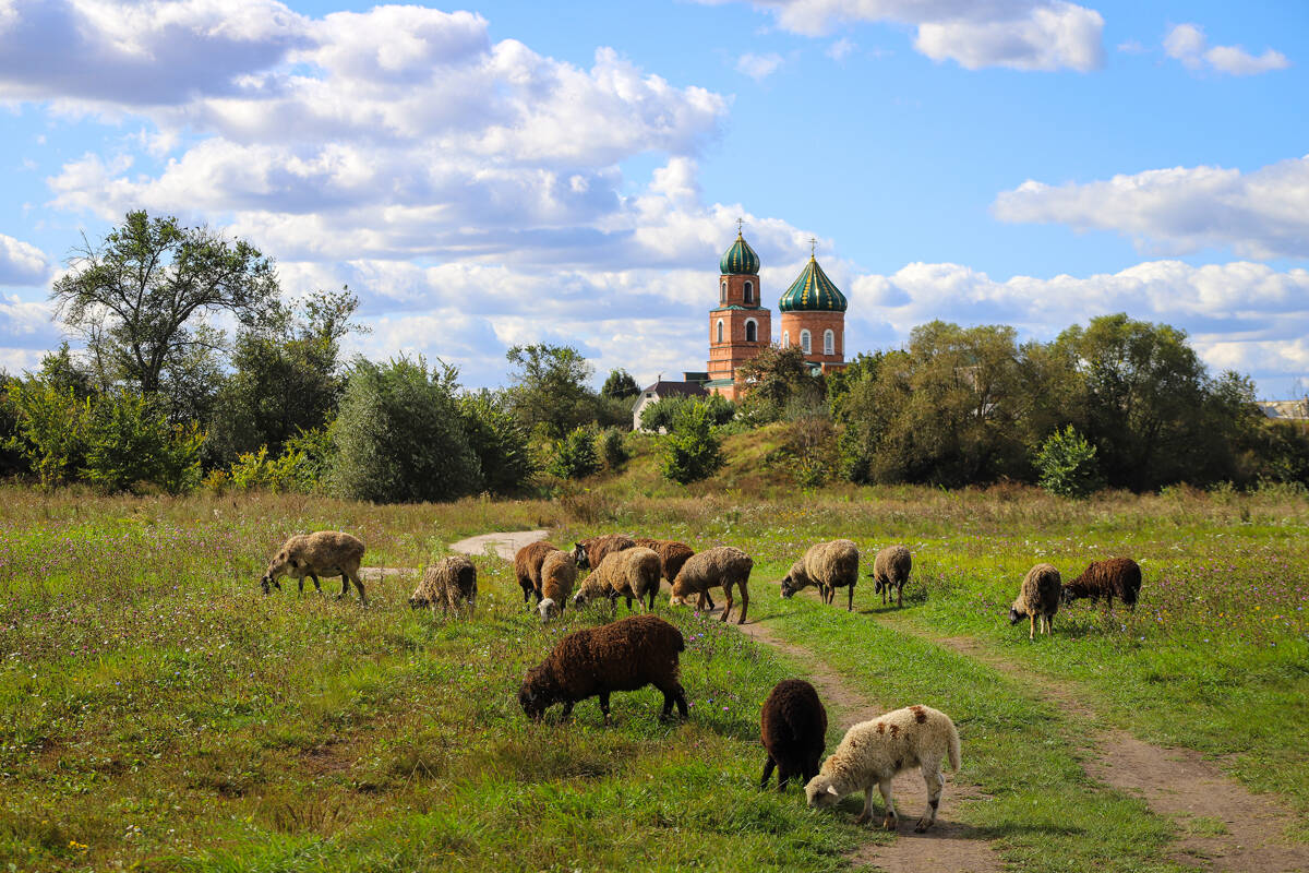 Церковь Троицы Живоначальной, Троицкое (Липецкий район, Липецкая область). дополнительная информация