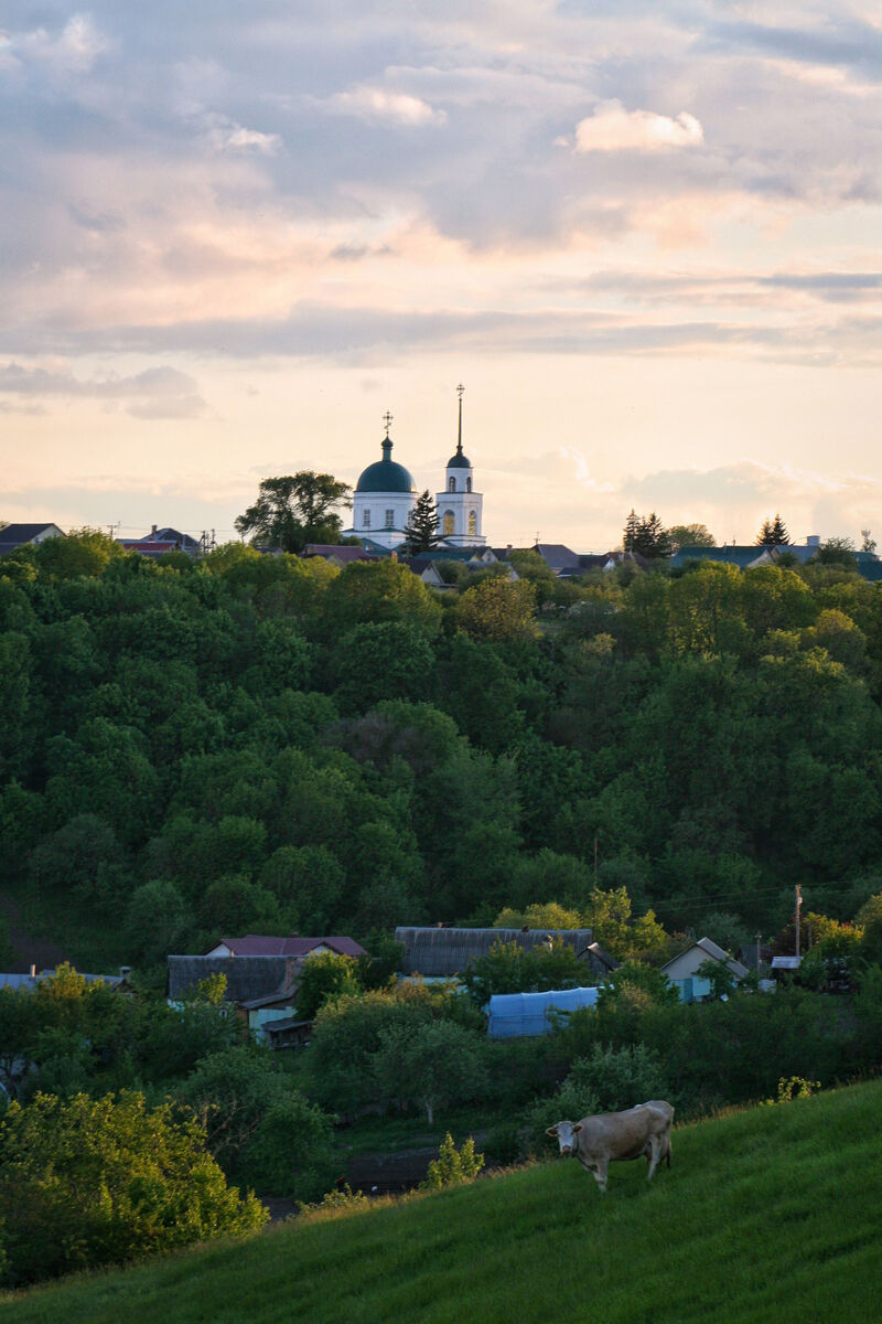 Церковь Покрова Пресвятой Богородицы, Сырское (Липецкий район, Липецкая область). художественные фотографии