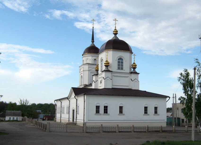 Церковь Казанской иконы Божией Матери (новая), Боринское (Липецкий район, Липецкая область). фасады