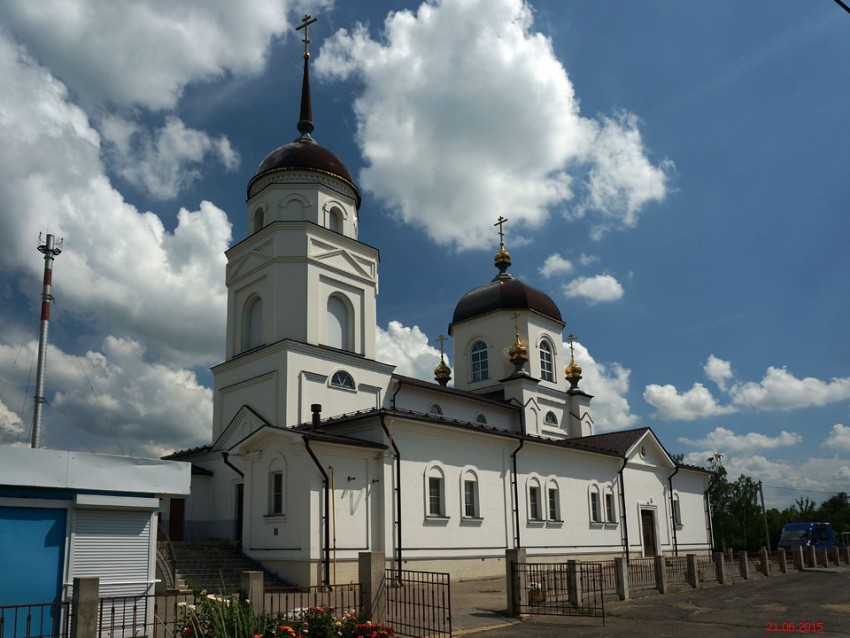Церковь Казанской иконы Божией Матери (новая), Боринское (Липецкий район, Липецкая область). фасады