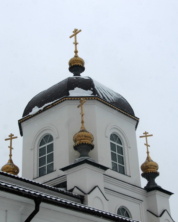 Церковь Казанской иконы Божией Матери (новая), Боринское (Липецкий район, Липецкая область). архитектурные детали, купол