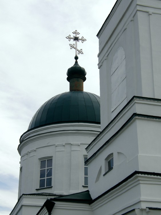 Церковь Покрова Пресвятой Богородицы, Сырское (Липецкий район, Липецкая область). архитектурные детали