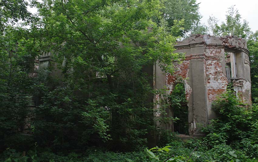 Петропавловский монастырь. Церковь Успения Пресвятой Богородицы, Юрьев-Польский (Юрьев-Польский район, Владимирская область). архитектурные детали