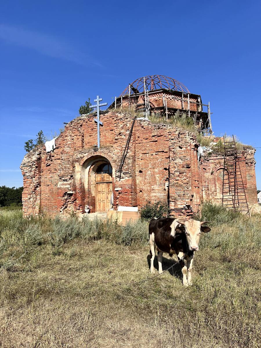 Церковь Казанской иконы Божией Матери, Богородицкое (Добринский район, Липецкая область). фасады