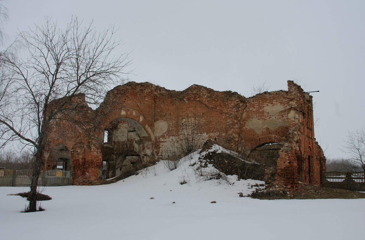 Церковь Зосимы и Савватия Соловецких, Борки (Тербунский район, Липецкая область). фасады