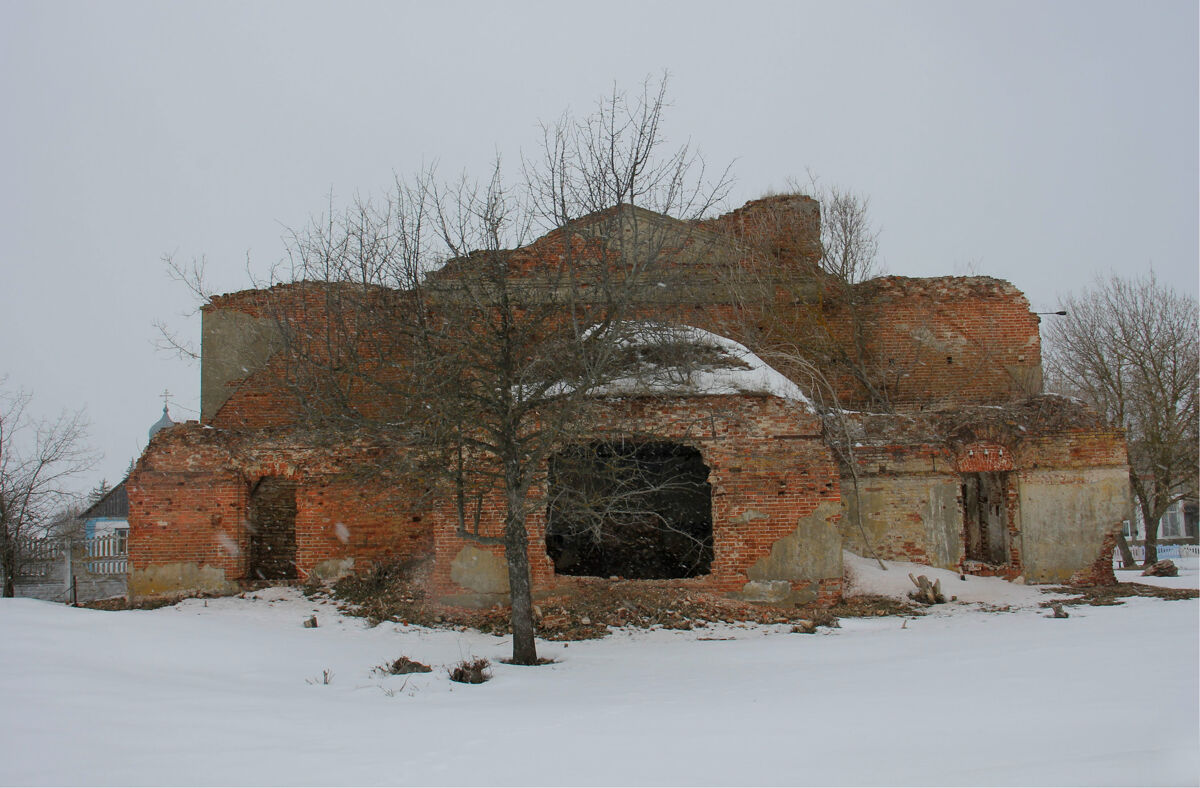 Церковь Зосимы и Савватия Соловецких, Борки (Тербунский район, Липецкая область). фасады