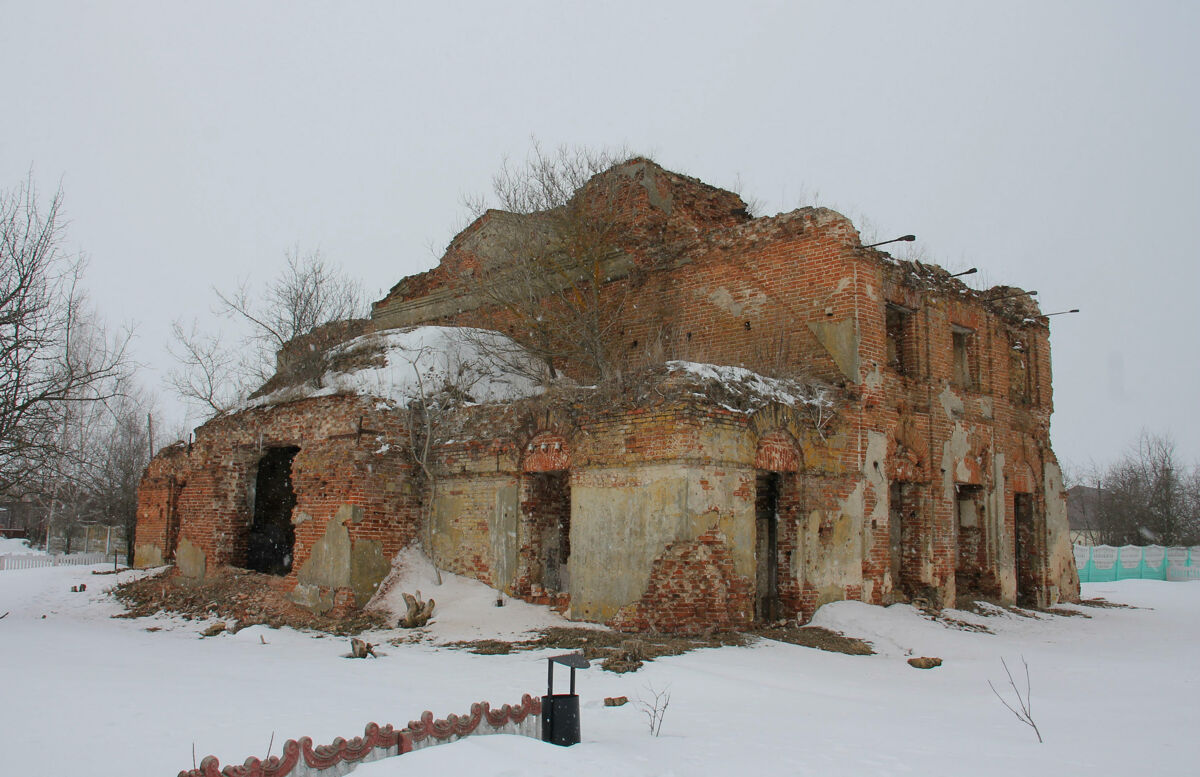 Церковь Зосимы и Савватия Соловецких, Борки (Тербунский район, Липецкая область). фасады