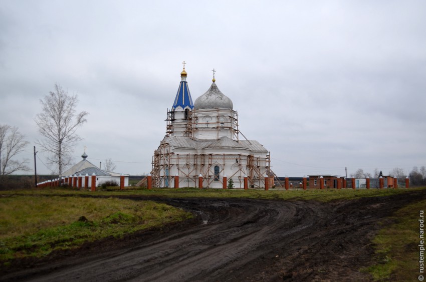 Церковь Марии Магдалины, Евгеньевка (Касторенский район, Курская область). общий вид в ландшафте