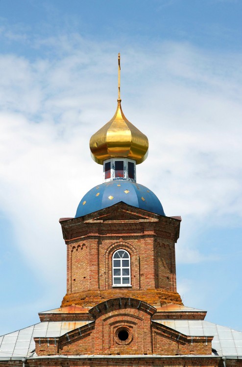 Церковь Тихвинской иконы Божией Матери, Бараново (Горшеченский район, Курская область). фасады, купол