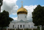 Церковь Покрова Пресвятой Богородицы - Дмитряшевка - Хлевенский район - Липецкая область