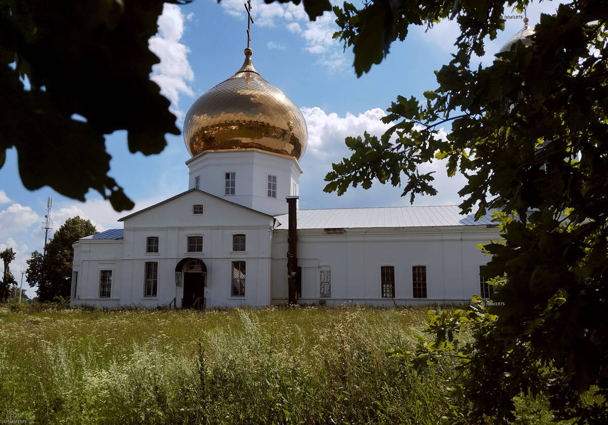 Церковь Покрова Пресвятой Богородицы, Дмитряшевка (Хлевенский район, Липецкая область). фасады
