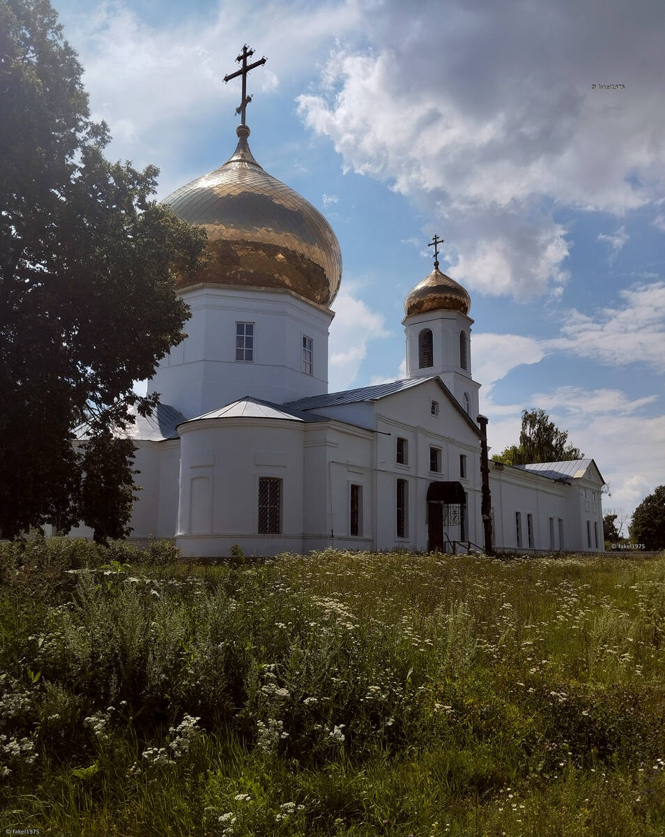 Церковь Покрова Пресвятой Богородицы, Дмитряшевка (Хлевенский район, Липецкая область). архитектурные детали