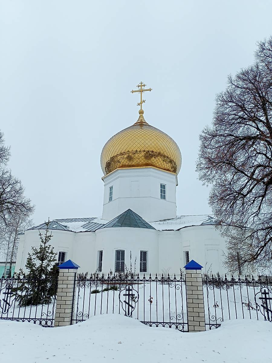 фасады. Церковь Покрова Пресвятой Богородицы, Дмитряшевка (Хлевенский район, Липецкая область)