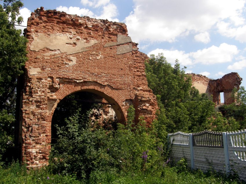 Церковь Зосимы и Савватия Соловецких, Борки (Тербунский район, Липецкая область). документальные фотографии