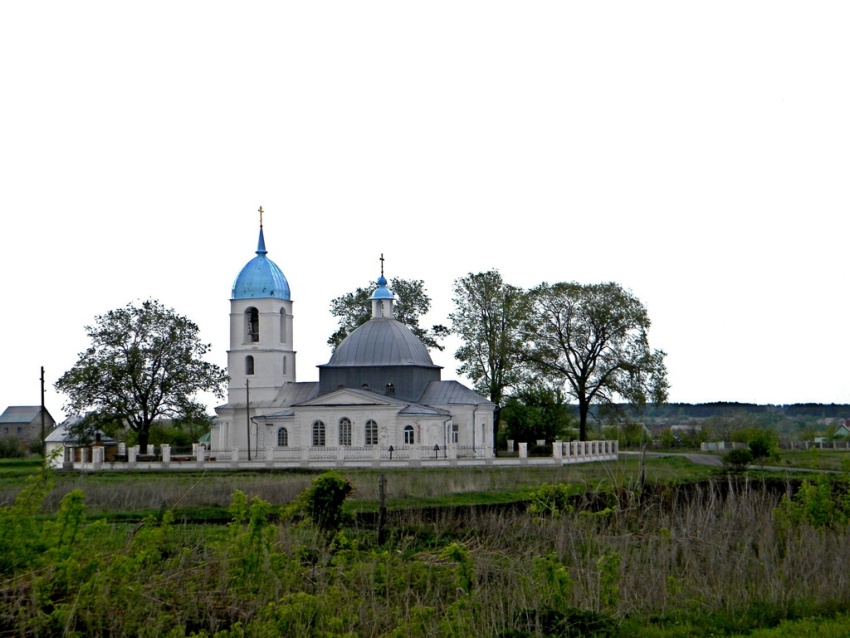 Церковь Покрова Пресвятой Богородицы, Кунье (Горшеченский район, Курская область). общий вид в ландшафте