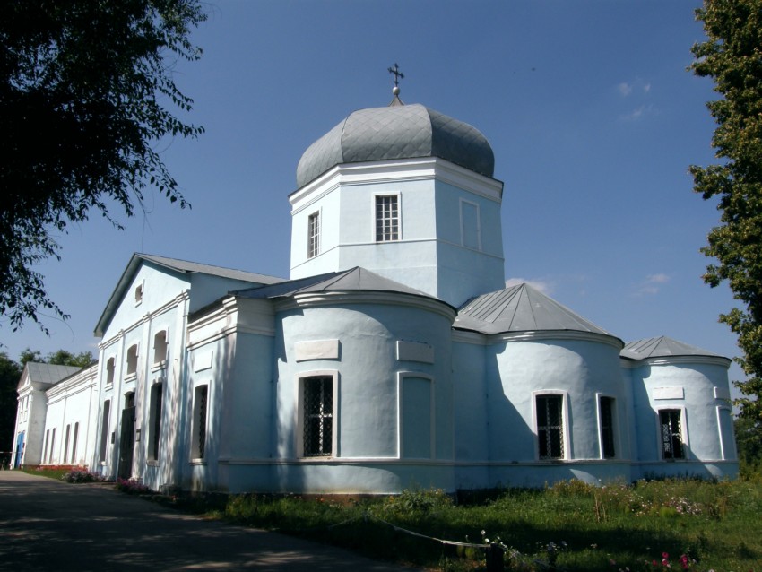 Дмитряшевка. Церковь Покрова Пресвятой Богородицы. общий вид в ландшафте