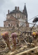 Церковь Покрова Пресвятой Богородицы - Митино - Гаврилов-Ямский район - Ярославская область