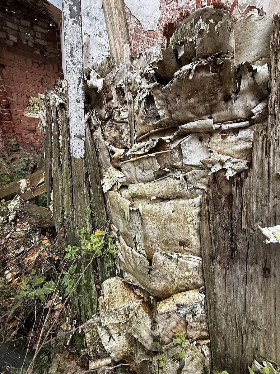 Сохранившийся элемент кровли: береста пришитая коваными гвоздями к тёсу, служила гидроизоляционным слоем, дополнительная информация. Церковь Николая Чудотворца, Ставотино (Гаврилов-Ямский район, Ярославская область)