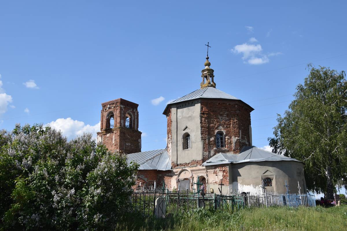Церковь Покрова Пресвятой Богородицы, Береговая Погореловка (Пронский район, Рязанская область). общий вид в ландшафте