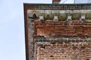 Церковь Рождества Пресвятой Богородицы - Воскресенка - Пронский район - Рязанская область