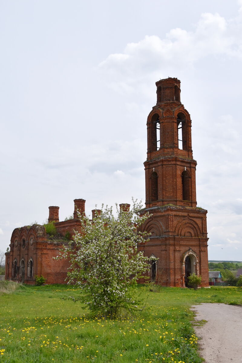 Церковь Космы и Дамиана, Гремяки (Пронский район, Рязанская область). фасады