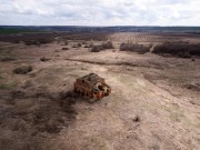 Церковь Казанской иконы Божией Матери - Телятники - Пронский район - Рязанская область