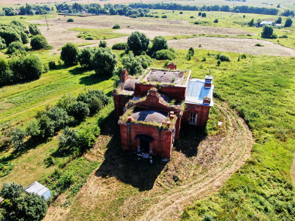 Церковь Покрова Пресвятой Богородицы, Тырново (Пронский район, Рязанская область). общий вид в ландшафте