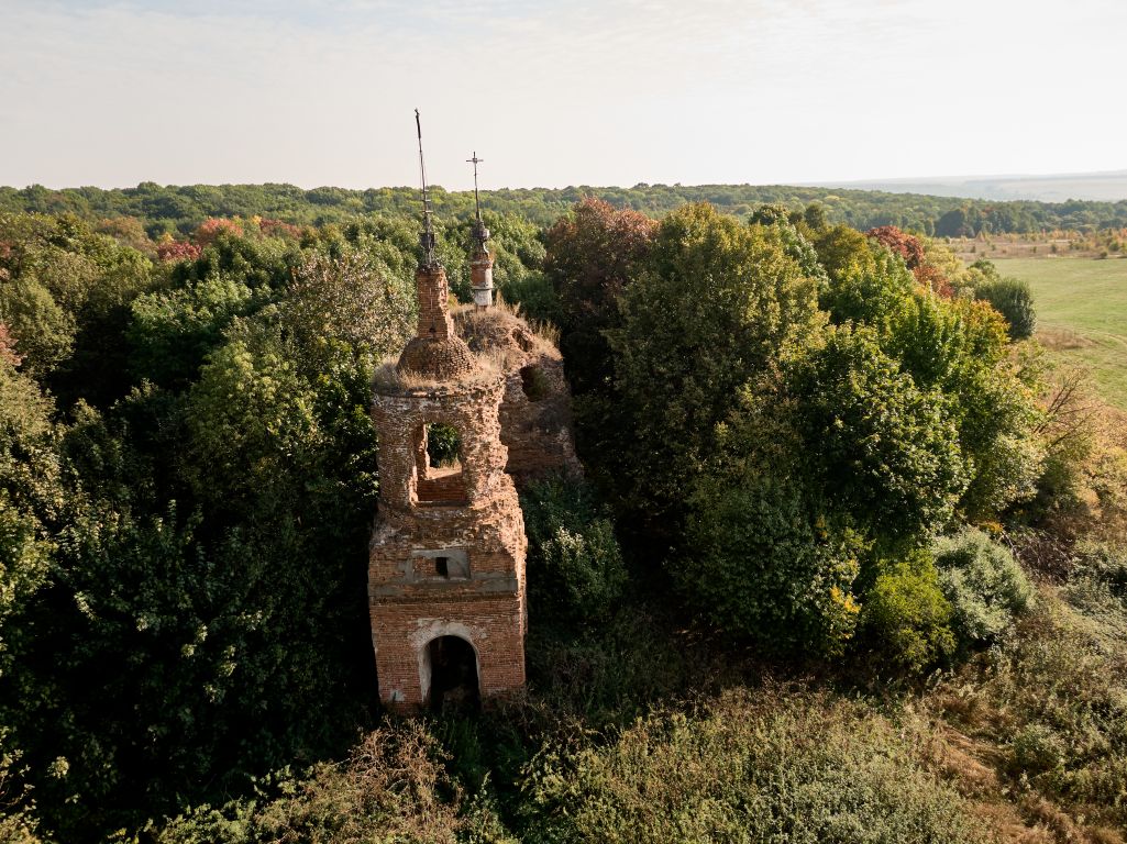 Церковь Иерусалимской иконы Божией Матери, Руднево (Пронский район, Рязанская область). фасады