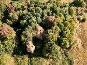 Церковь Иерусалимской иконы Божией Матери - Руднево - Пронский район - Рязанская область