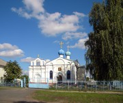 Церковь Введения во храм Пресвятой Богородицы, , Тим, Тимский район, Курская область