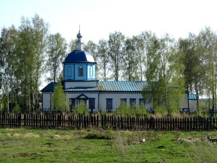 Церковь Введения во храм Пресвятой Богородицы, Борисково (Рязанский район, Рязанская область). общий вид в ландшафте, северный фасад