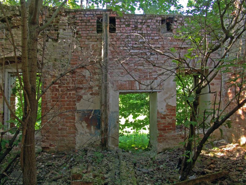 Церковь Троицы Живоначальной, Аминево (Нерехтский район, Костромская область). интерьер и убранство, Интерьер алтаря