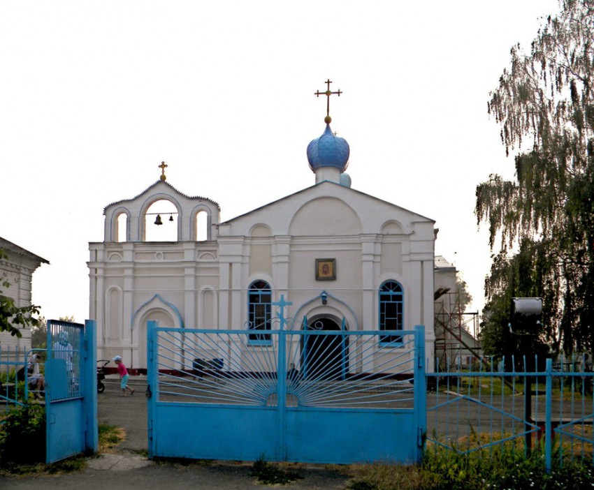 Церковь Введения во храм Пресвятой Богородицы, Тим (Тимский район, Курская область). общий вид в ландшафте