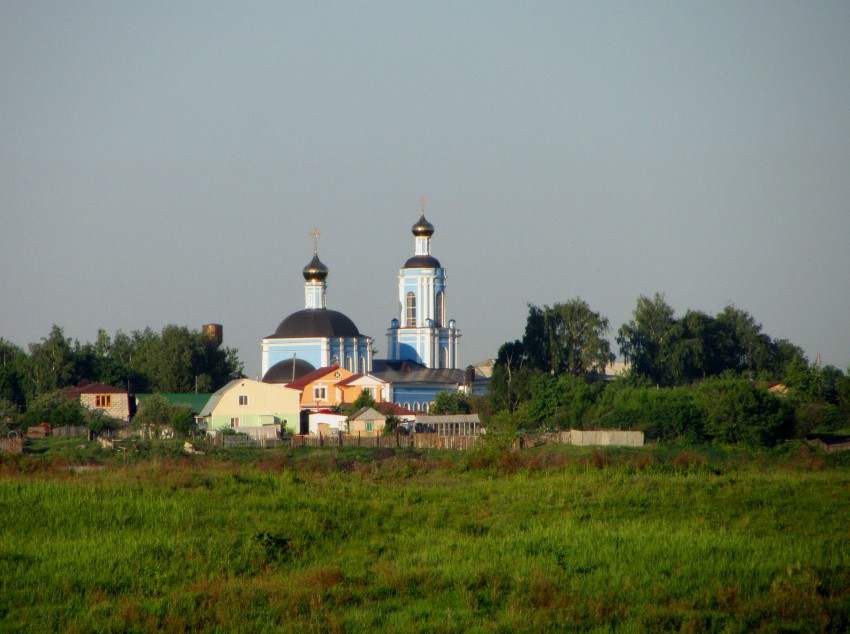 Вышгород. Церковь Покрова Пресвятой Богородицы. общий вид в ландшафте