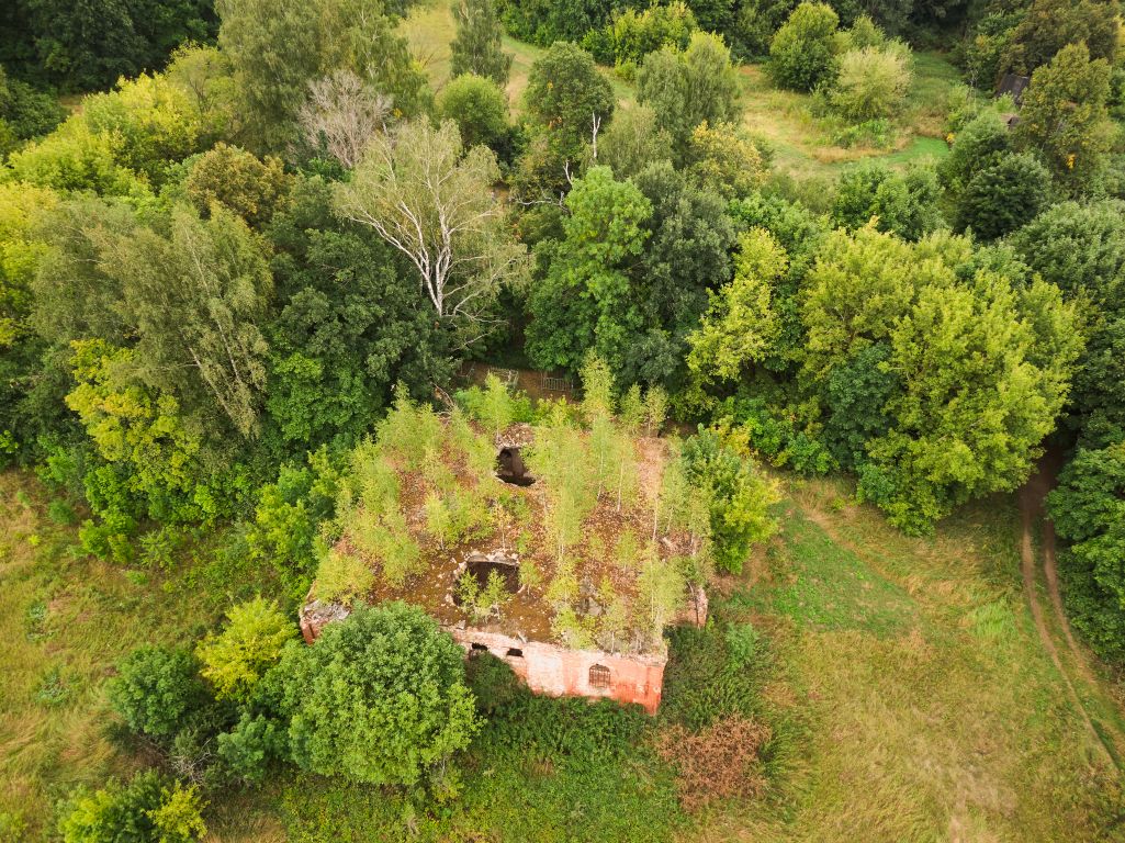 Церковь Успения Пресвятой Богородицы, Дятлово (Рязанский район, Рязанская область). фасады