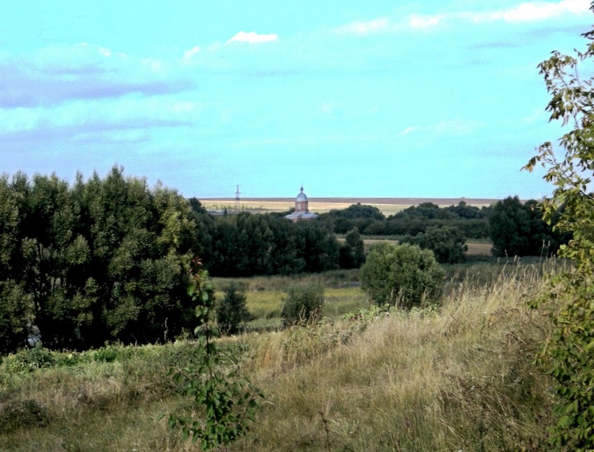 Церковь Никиты мученика, Паники (Медвенский район), фотография. общий ...