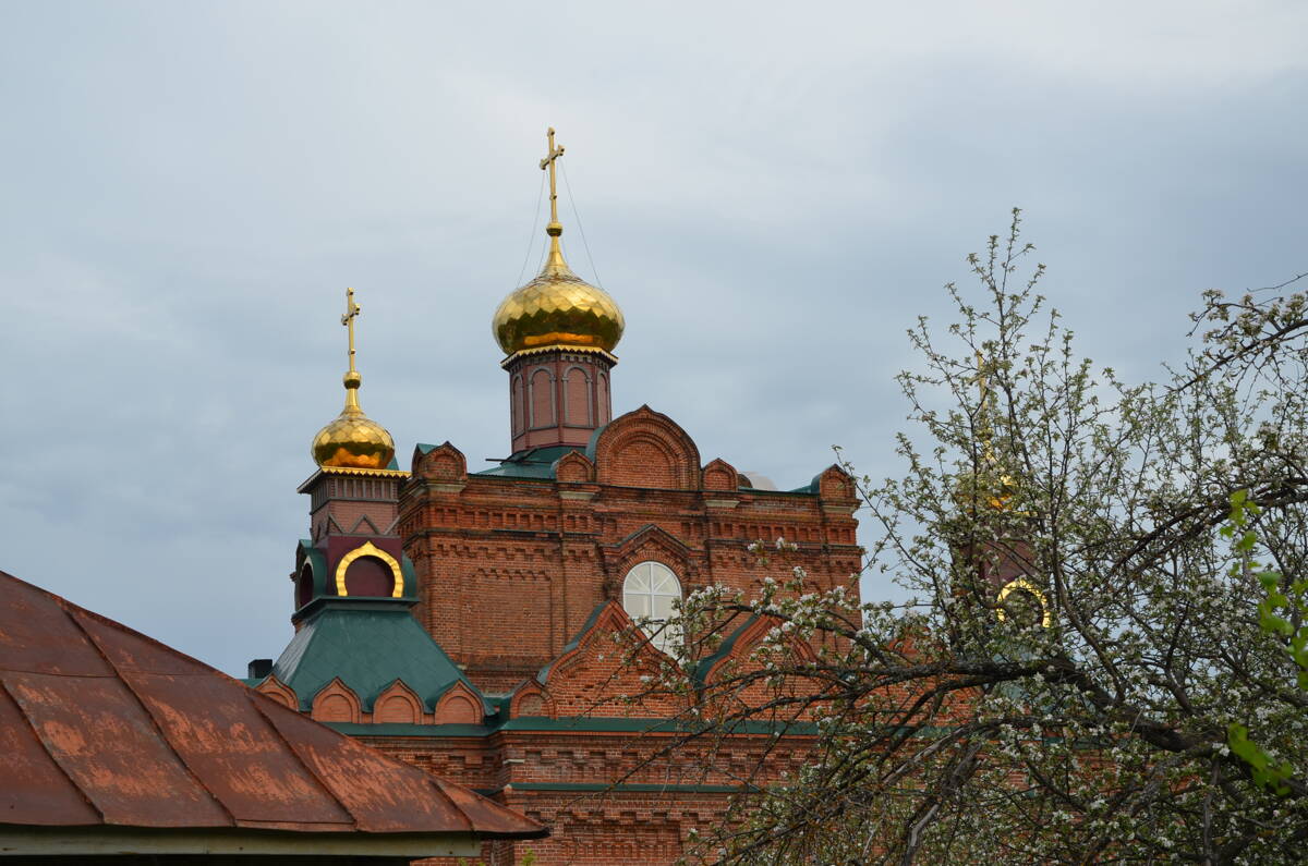 Церковь Преображения Господня, Усады (Сасовский район и г. Сасово, Рязанская область). архитектурные детали