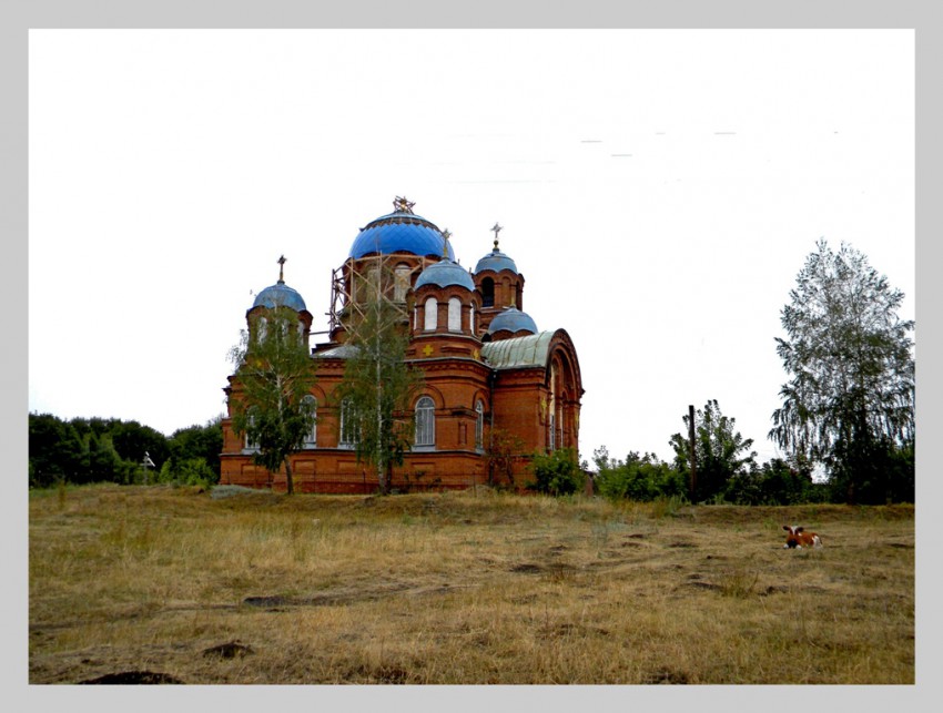 Церковь Покрова Пресвятой Богородицы, Любицкое (Медвенский район, Курская область). общий вид в ландшафте
